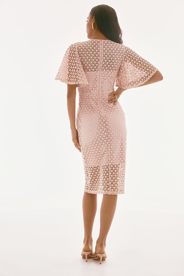 La robe dentelle guipure Joseph Ribkoff | Signature | 251744-C