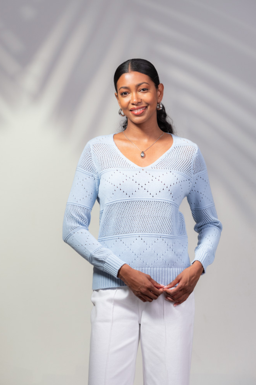 Le pull col en v Alison Sheri | A45289